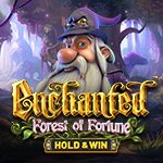 Enchanted: Forest of Fortune - Hold & Win